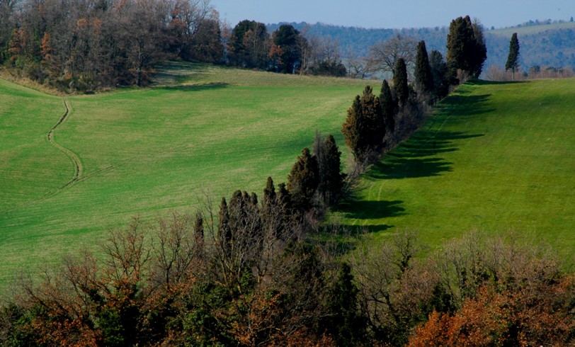 Volterra